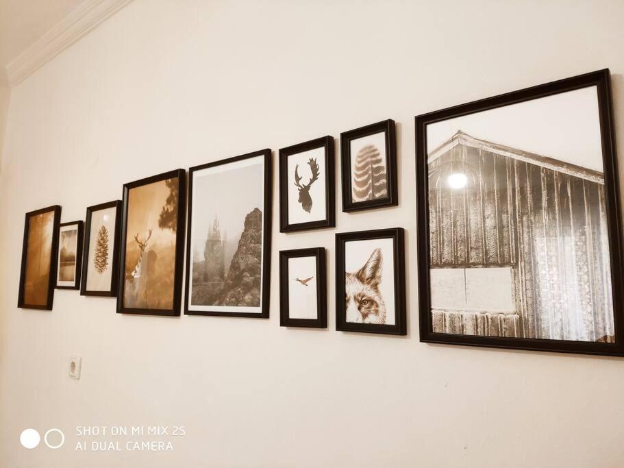 Evaggelia'S Apartments 1 Διαμονή Στο Κέντρο コザニ エクステリア 写真